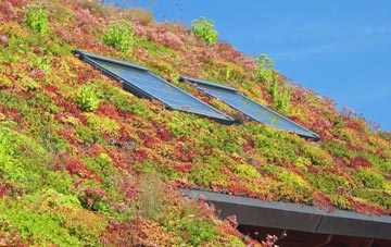 Berepper living roof systems